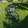 frog bike Image 3