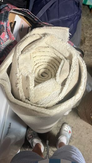 carpet