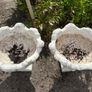 Vintage garden planters x2 Image 2