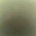 gorrilagigglefart2900