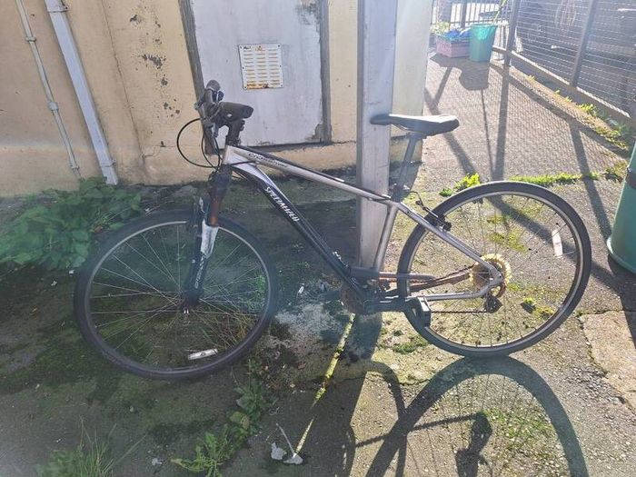 Specialised bike