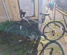 Specialised bike
