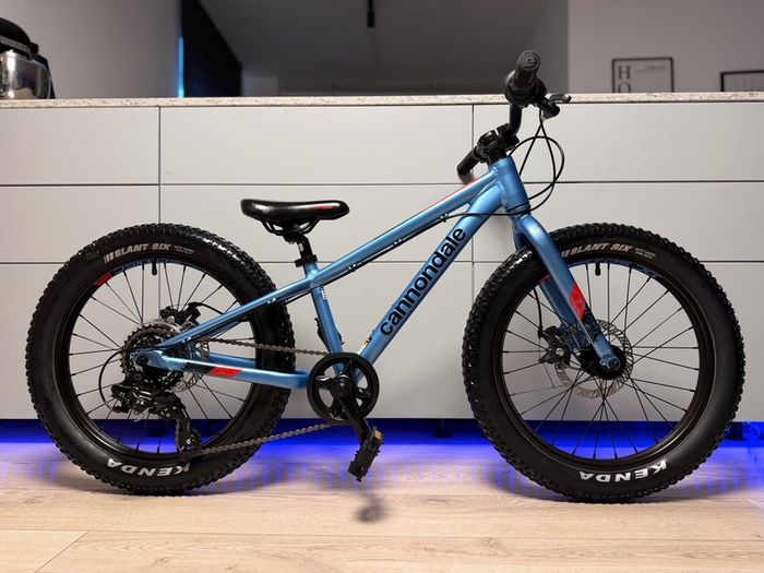 Cannondale Cujo Disc Kids Bike 20 inch