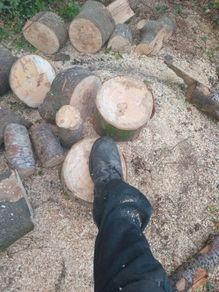 Firewood