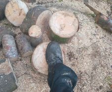 Firewood