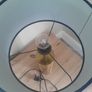 Lamp Image 5