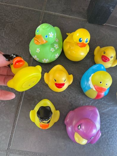 Ducks
