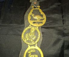 3 Old Brass Horse Medallions mounted on a strap, Postage Available,
