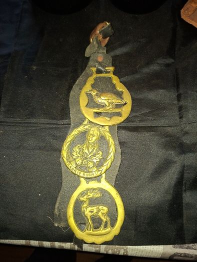 3 Old Brass Horse Medallions mounted on a strap, Postage Available,