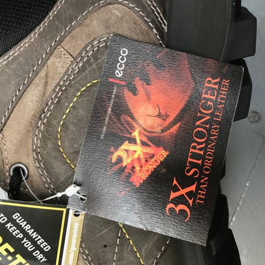 Ecco Hiking boots Mens