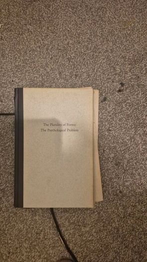 The Plurality of Forms: The Psychological Problem