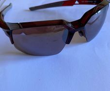 Speedcoupe sunglasses