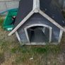 dogs kennel Image 2