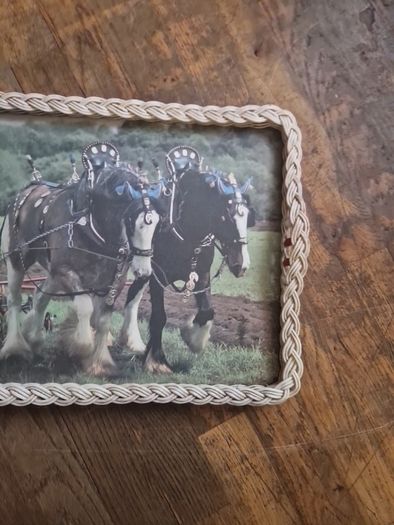 tray