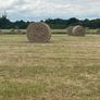 Round bales of quality hay Image 4