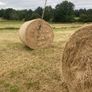 2026/25 hay for sale Image 5