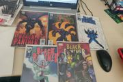 Black Panther (2005) lot