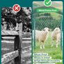 Metal Fence Posts 91cm / 3ft, Pack of 10, Sturdy Duty No Digging Garden U Post for Wire Fencing Steel Poles for Yard, Outdoor Wire Image 3