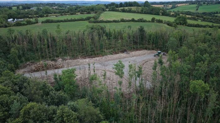 Russell Fastraxx Jobs: Ash timber in 3 metre lenghts for sale  Co, Meath