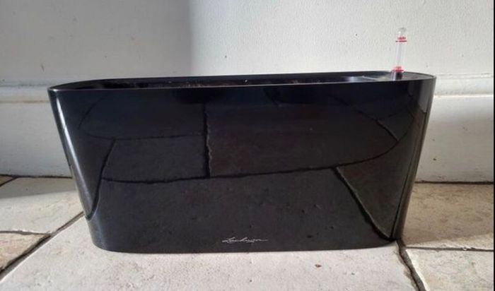 Pot