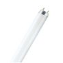 DD Light Bulb  4 Pin 28  Watts Home Delivery In Galway City Centre Only 5 Enuro Extra Image 5