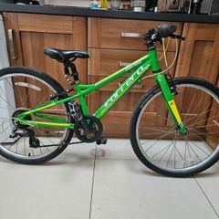 Carrera Abyss Kids 10.5" Alu frame bike