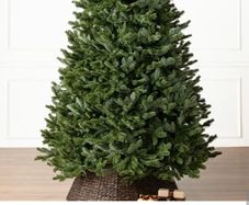 BNIB Balsam Hill BH Fraser Fir 6.5ft Christmas Tree