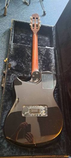 Godin Multiac Steel Duet