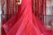 debs dress