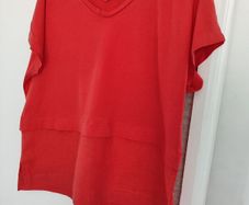 Ladies top