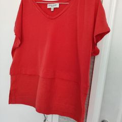 Ladies top