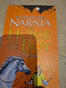 The chronicles of narnia the horse and his boy