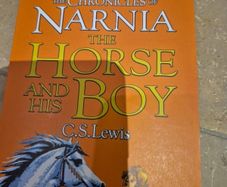 The chronicles of narnia the horse and his boy