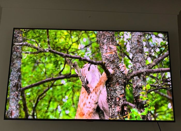 Samsung SmartTV 50 with legs and remote