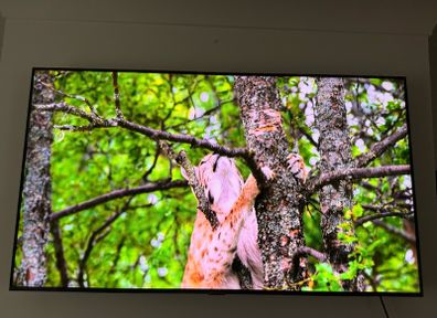 Samsung SmartTV 50 with legs and remote