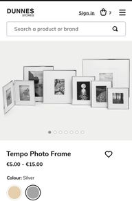Wanted x2 Dunnes Stores Tempo Frames XL in Silver