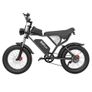 RIDSTAR Q20 Electric Bike Dublin Image 2