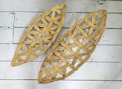 Pair of gold leaf fruit bowl/wall art