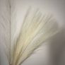8pcs Feather house deco NEW Image 2