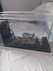 Fluval Desktop Aquarium