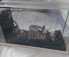 Fluval Desktop Aquarium