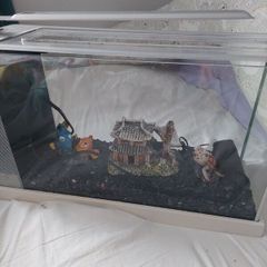 Fluval Desktop Aquarium