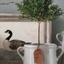 -For You- Ceramic Pots (new) Image 2