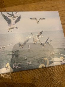 Dan Mangan - More or Less