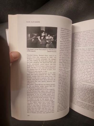 Companion to Irish Traditional Music (Hardback)
