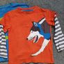Boden Boys T-Shirts Image 2
