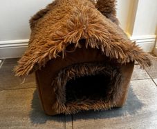 Cat bed