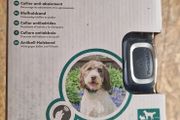 Bark collar