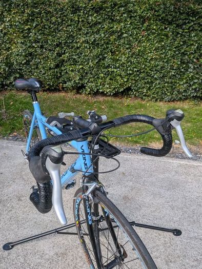 Viking Road Bike