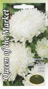 (A) Aster Queen of The Market seeds 0.5g (414963)